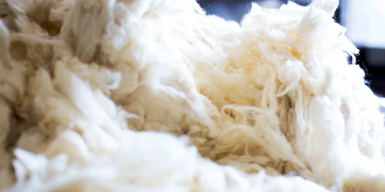 A fluffy natural wool pillow on a crisp white bed in soft morning light